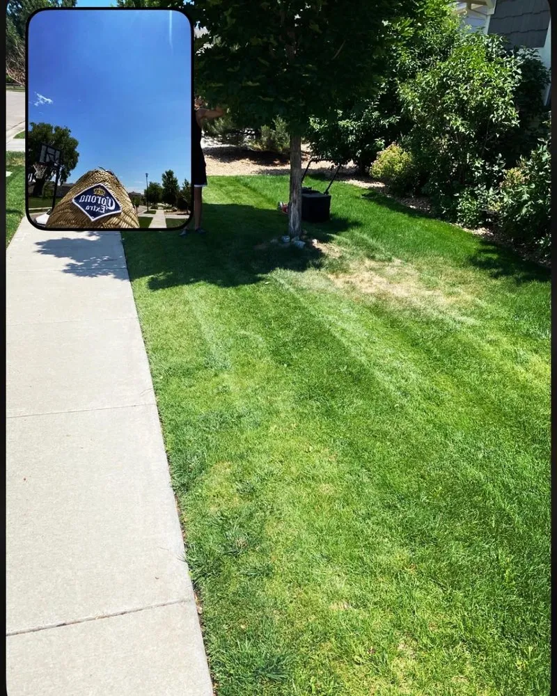Top-rated outdoor landscaping in Fort Collins, CO - Mallard Lawn Care