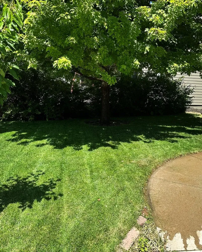 Affordable landscape installation in Fort Collins, CO by Mallard Lawn Care