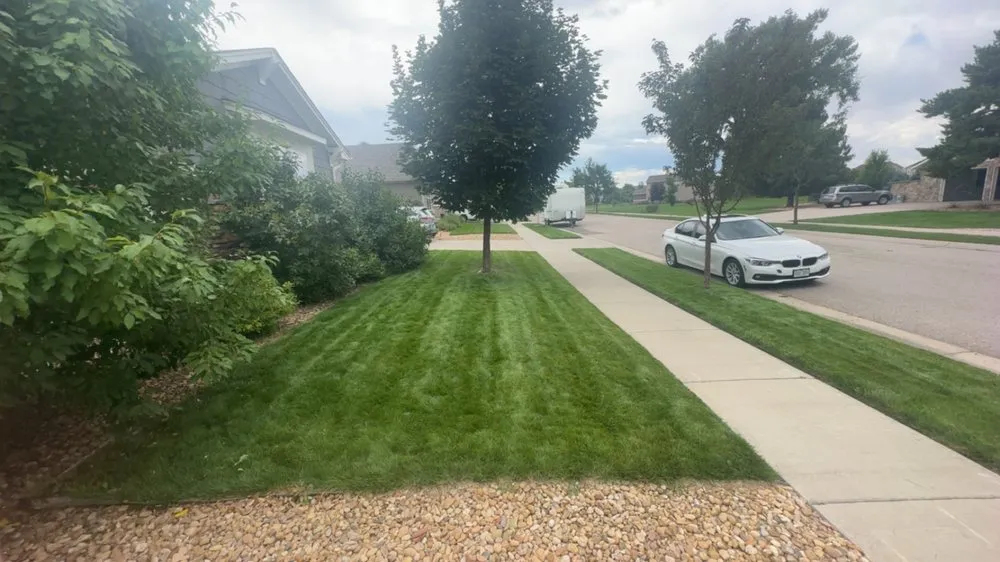 Reliable landscape design for outdoor upgrades in Fort Collins, CO by Mallard Lawn Care