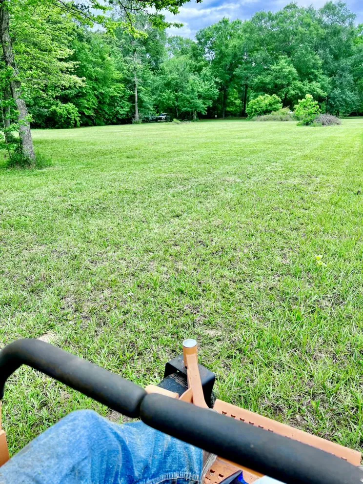 Affordable yard maintenance for homes across Conroe, TX - Mallard Services and Design