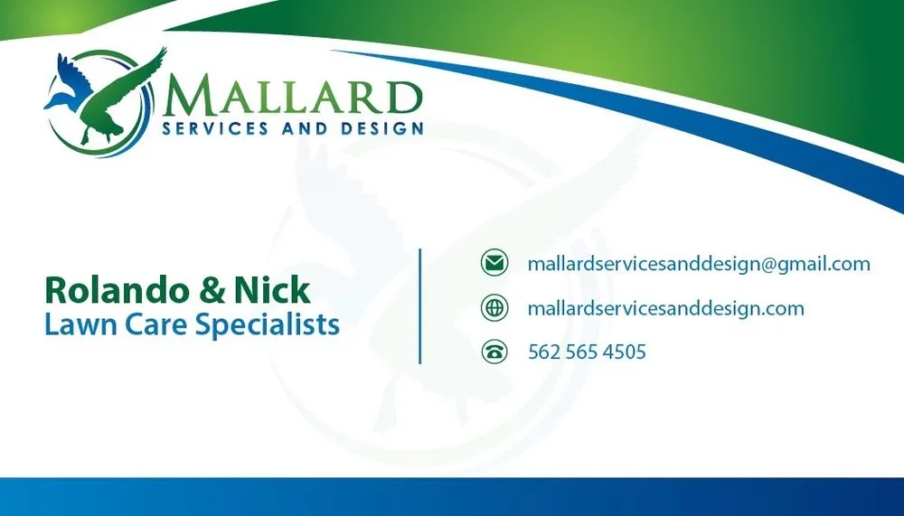 Top-rated yard cleanup service in Conroe, TX - Mallard Services and Design