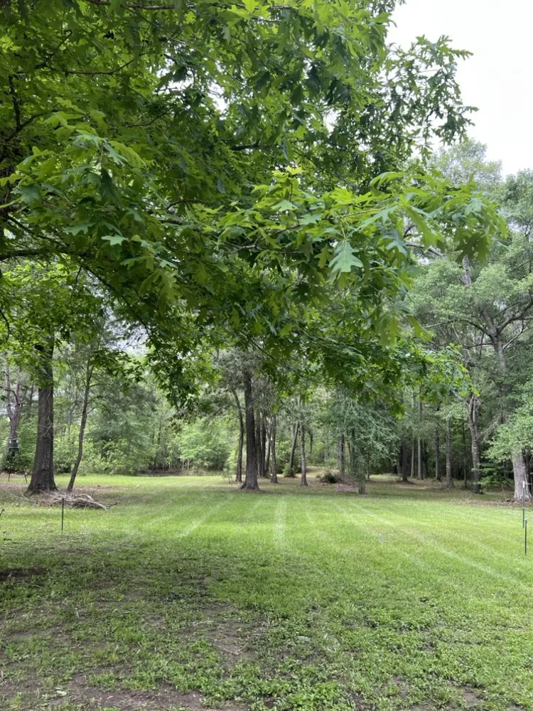 Custom landscape design in Conroe, TX by Mallard Services and Design