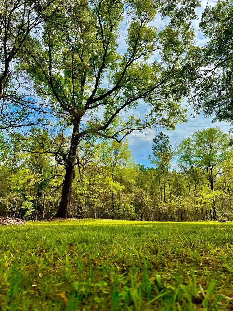 Local residential landscaping in Conroe, TX by Mallard Services and Design