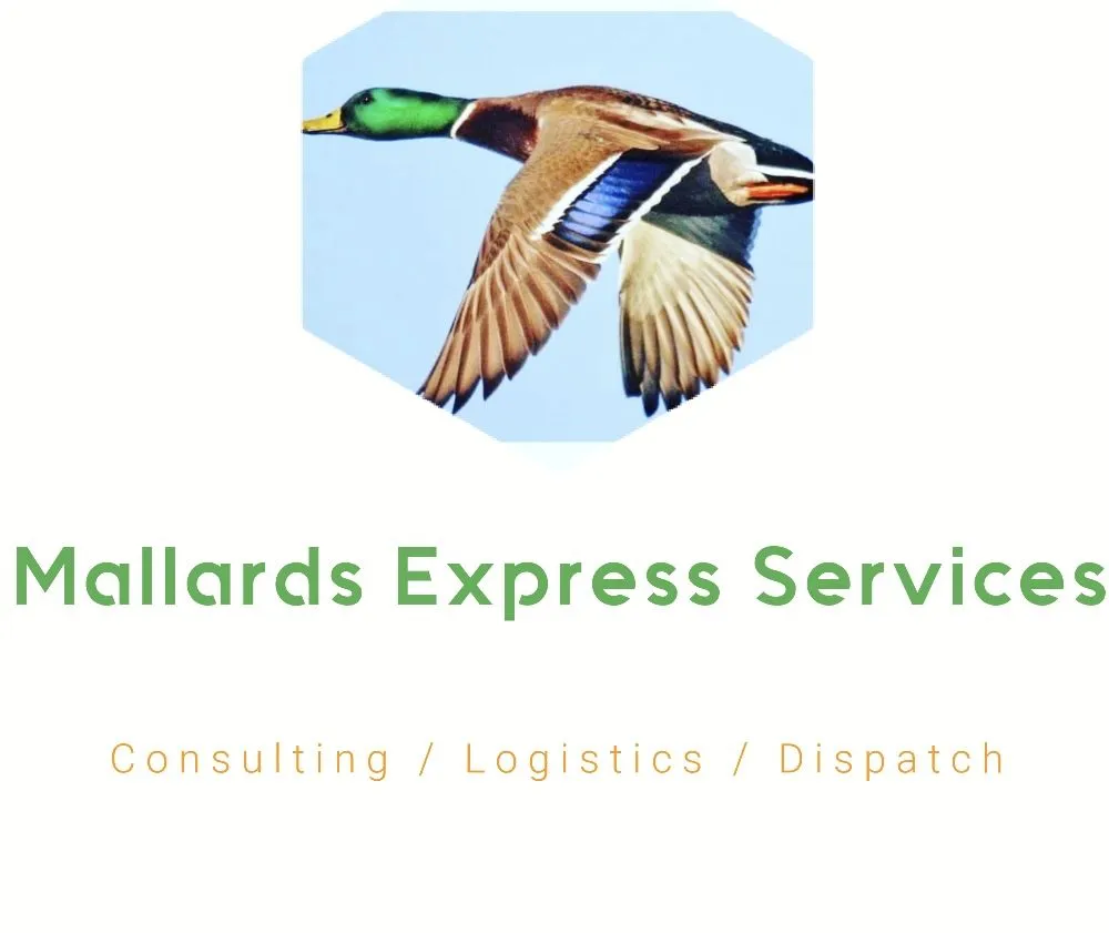 Affordable garden landscaping with custom design in Hampton, VA by Mallards Express Services