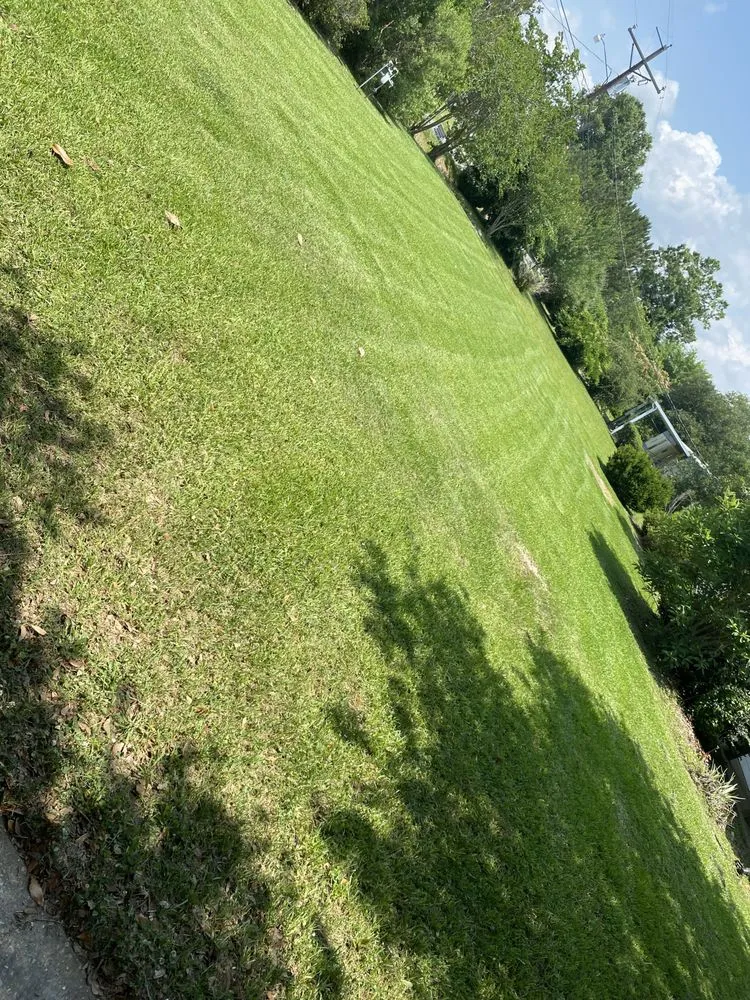 Expert landscape installation for residential properties in Opelousas, LA by Mallet’s Lawn Care