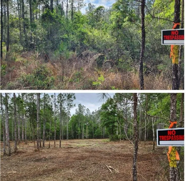 Local yard cleanup service experts serving Lucedale, MS - Mallette's Landscaping and Demolition