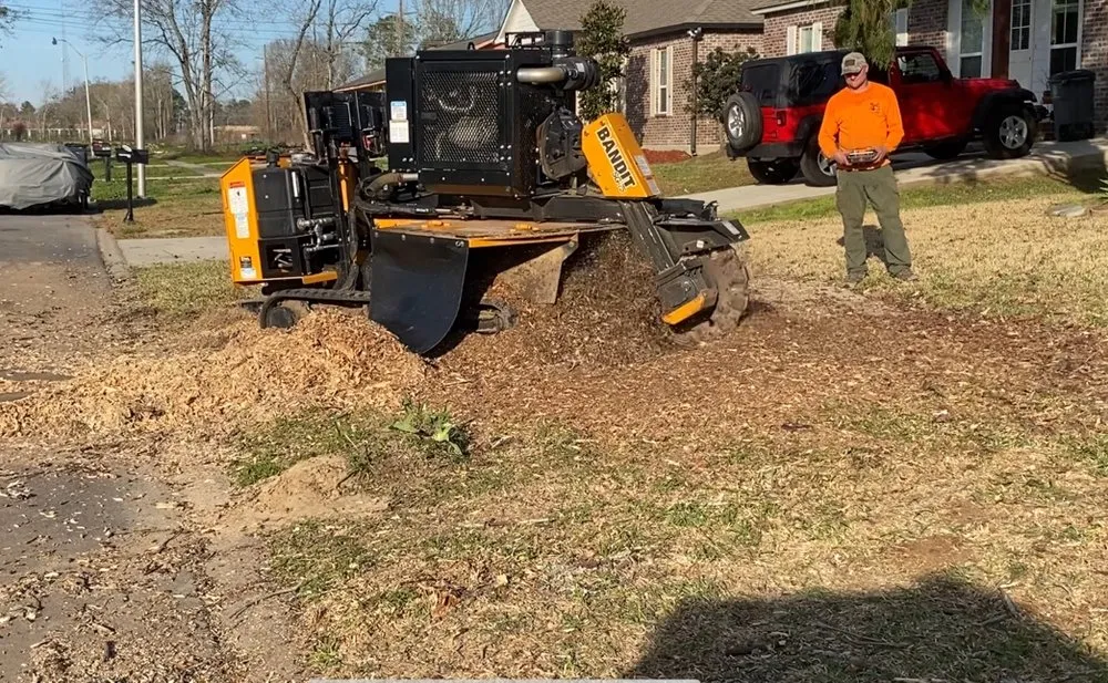 Custom yard maintenance experts serving Denham Springs, LA - Mallett’s Tree removal