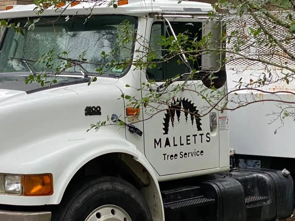 Top-rated residential landscaping in Denham Springs, LA - Mallett’s Tree removal