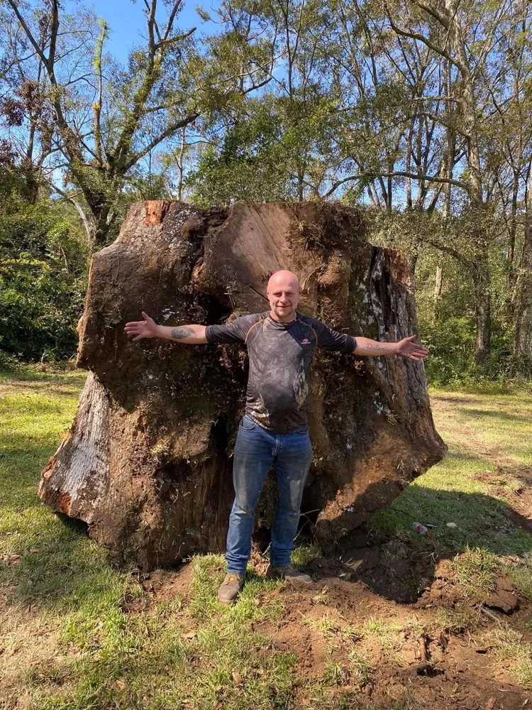 Custom lawn care service in Denham Springs, LA by Mallett’s Tree removal