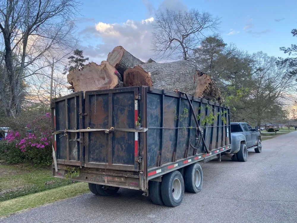 Professional outdoor landscaping in Denham Springs, LA - Mallett’s Tree removal