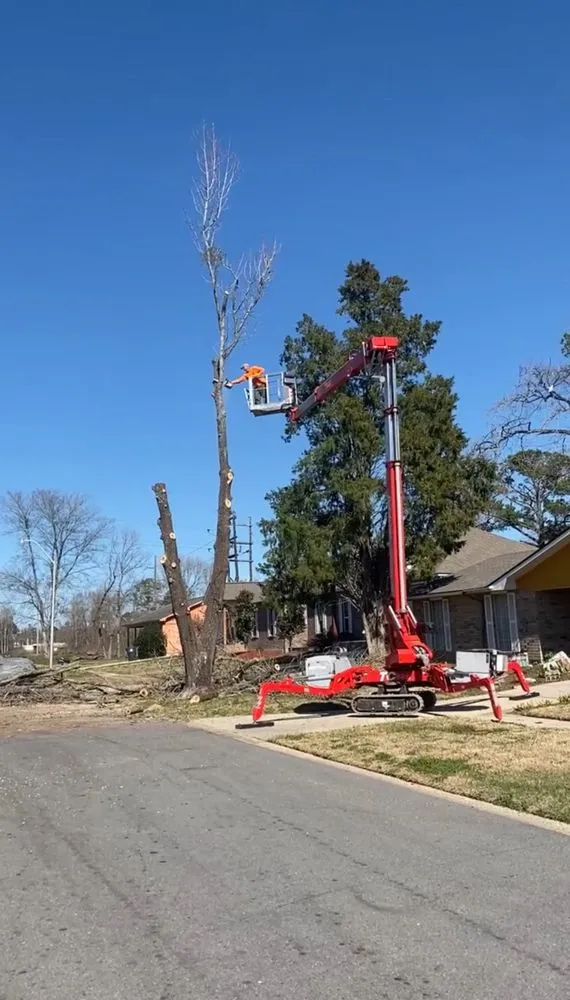 Custom yard maintenance in Denham Springs, LA - Mallett’s Tree removal