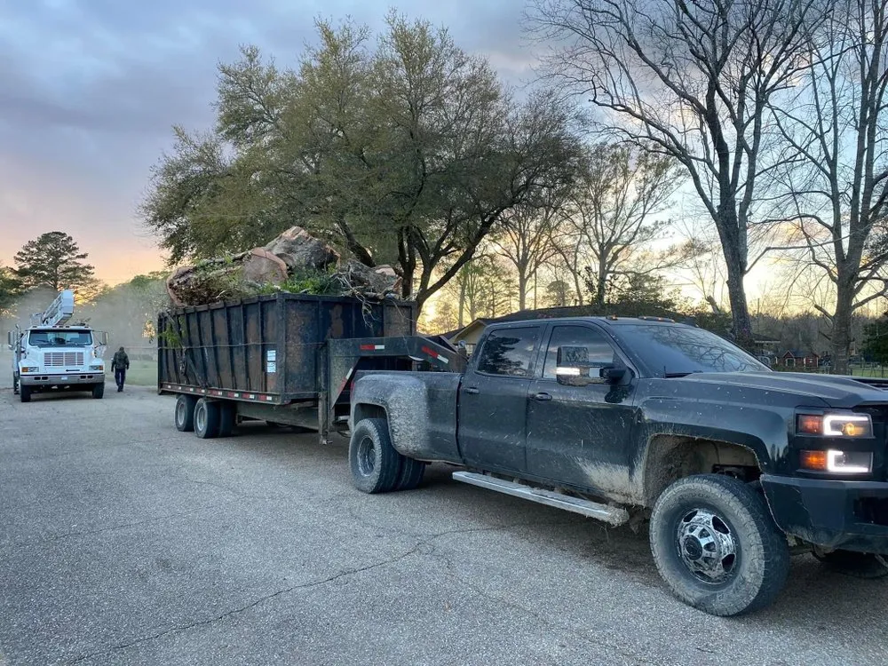 Trusted residential landscaping for residential properties across Denham Springs, LA - Mallett’s Tree removal