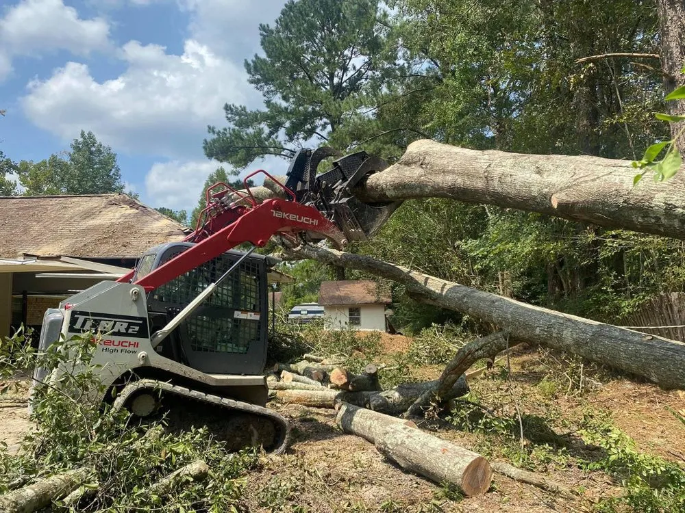 Professional lawn mowing service in Denham Springs, LA by Mallett’s Tree removal