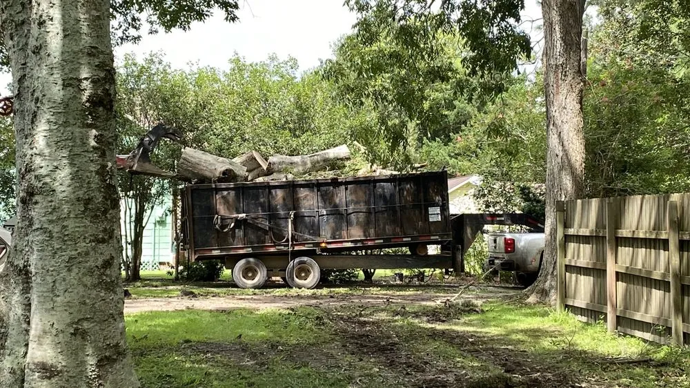 Top-rated yard maintenance in Denham Springs, LA - Mallett’s Tree removal