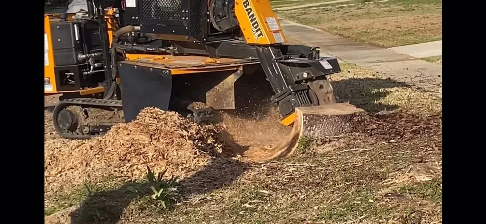 Reliable landscaping services in Denham Springs, LA - Mallett’s Tree removal