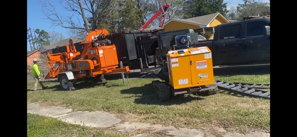 Expert yard cleanup service with custom design in Denham Springs, LA by Mallett’s Tree removal