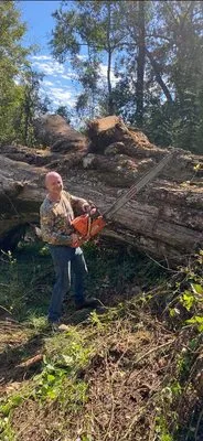 Mallett’s Tree removal