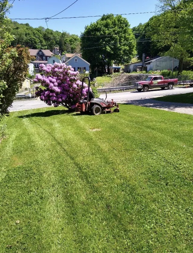 Expert lawn care service in Johnstown, PA - Mallozzi’s Lawn Care