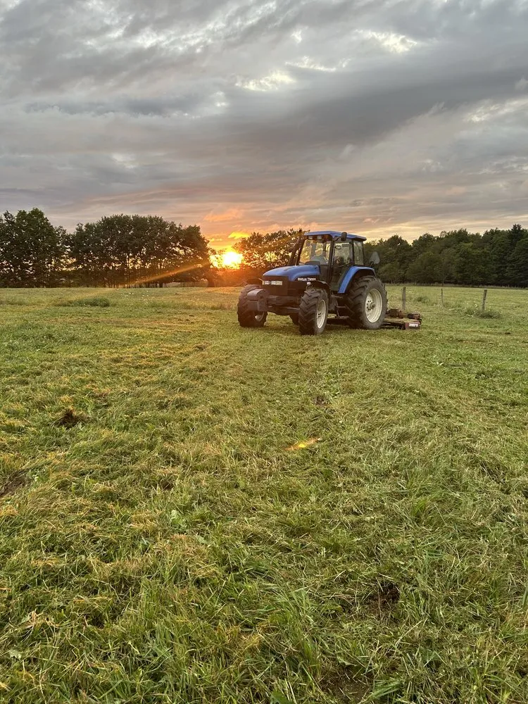 Affordable lawn care service for homes in Kennedy, NY by Malones Land Resources