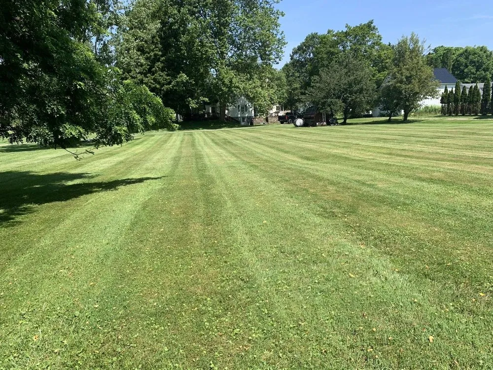 Reliable garden landscaping for homes across Kennedy, NY - Malones Land Resources