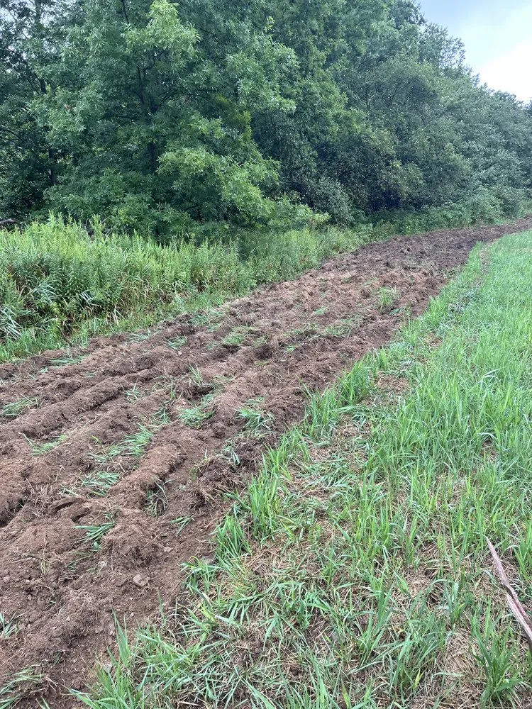 Trusted lawn care service in Kennedy, NY by Malones Land Resources