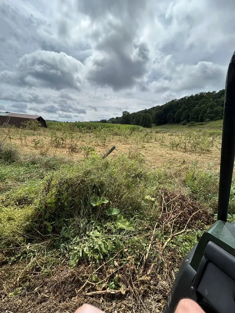 Affordable lawn care service near you across Kennedy, NY - Malones Land Resources
