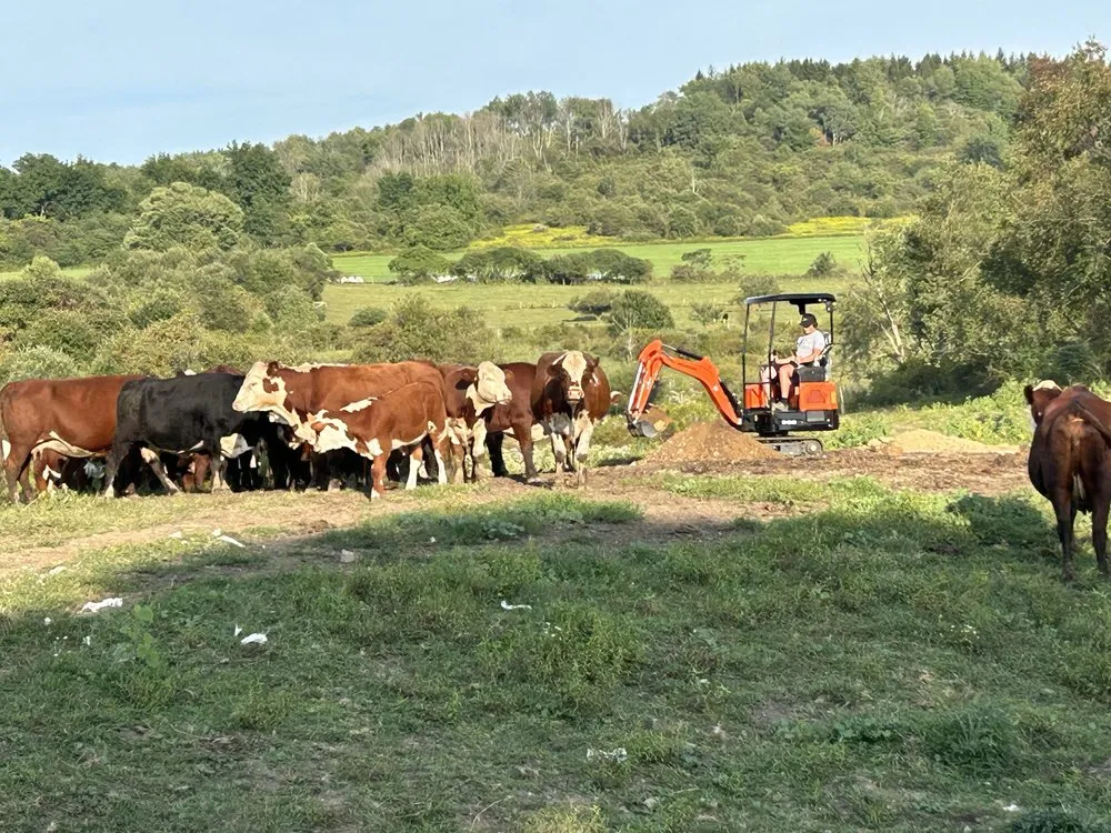 Trusted yard cleanup service in Kennedy, NY - Malones Land Resources