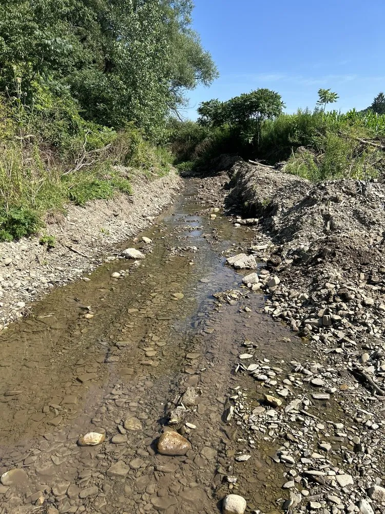 Trusted yard cleanup service experts serving Kennedy, NY - Malones Land Resources