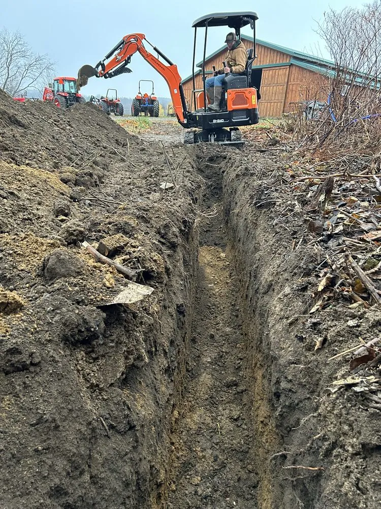 Top-rated yard maintenance for year-round maintenance across Kennedy, NY - Malones Land Resources