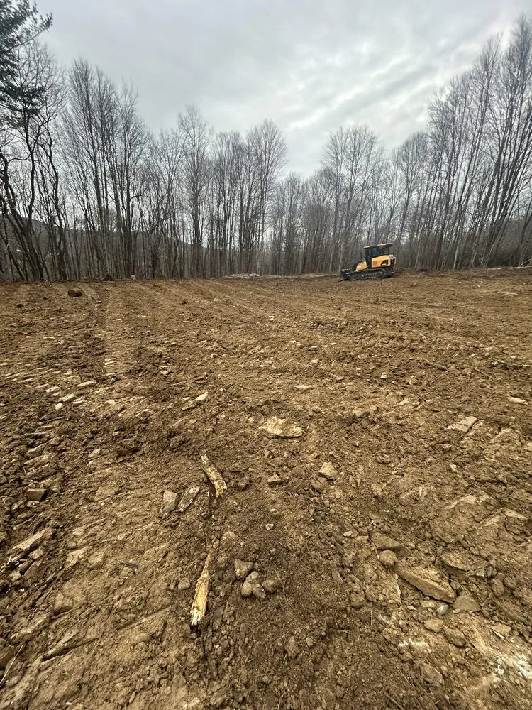 Trusted lawn care service in Kennedy, NY by Malones Land Resources