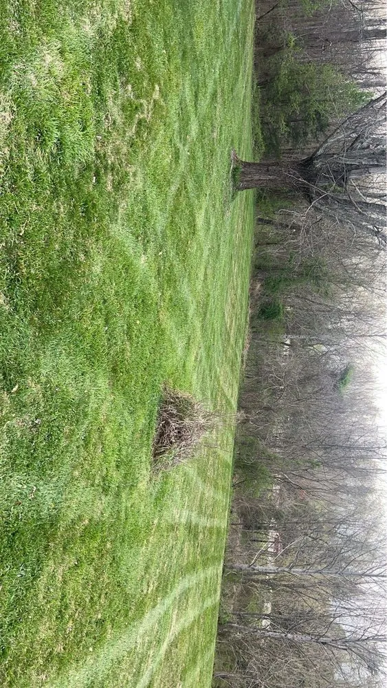 Reliable lawn care service for outdoor upgrades in Greenville, TN by Malones Mowing and Landscaping