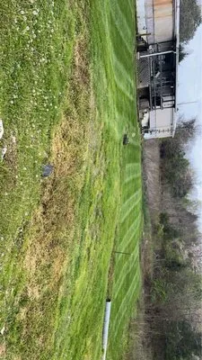 Malones Mowing and Landscaping