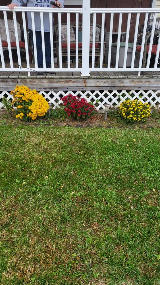 Custom yard maintenance near you in Millville, MA by Maloney Lawn Care