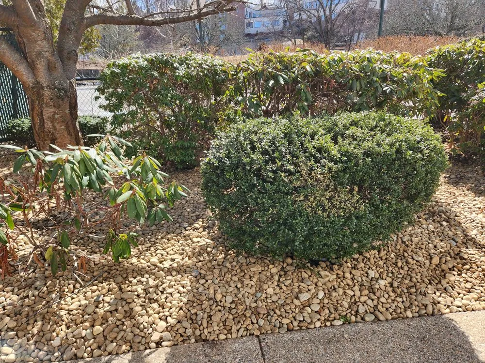 Reliable landscape design experts serving Millville, MA - Maloney Lawn Care