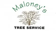 Top-rated lawn care service in Rome, GA - Maloney's Tree Service