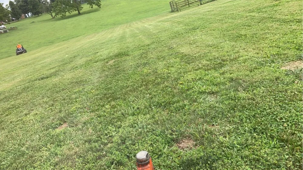 Top-rated yard maintenance for residential properties across Liberty, KY - Malpicas Landscape