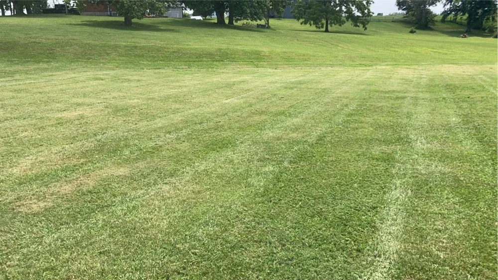 Custom yard cleanup service in Liberty, KY - Malpicas Landscape