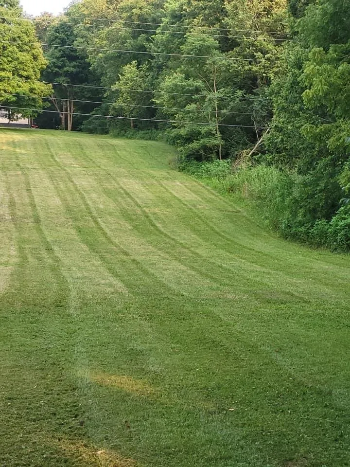 Custom outdoor landscaping for homes across Liberty, KY - Malpicas Landscape