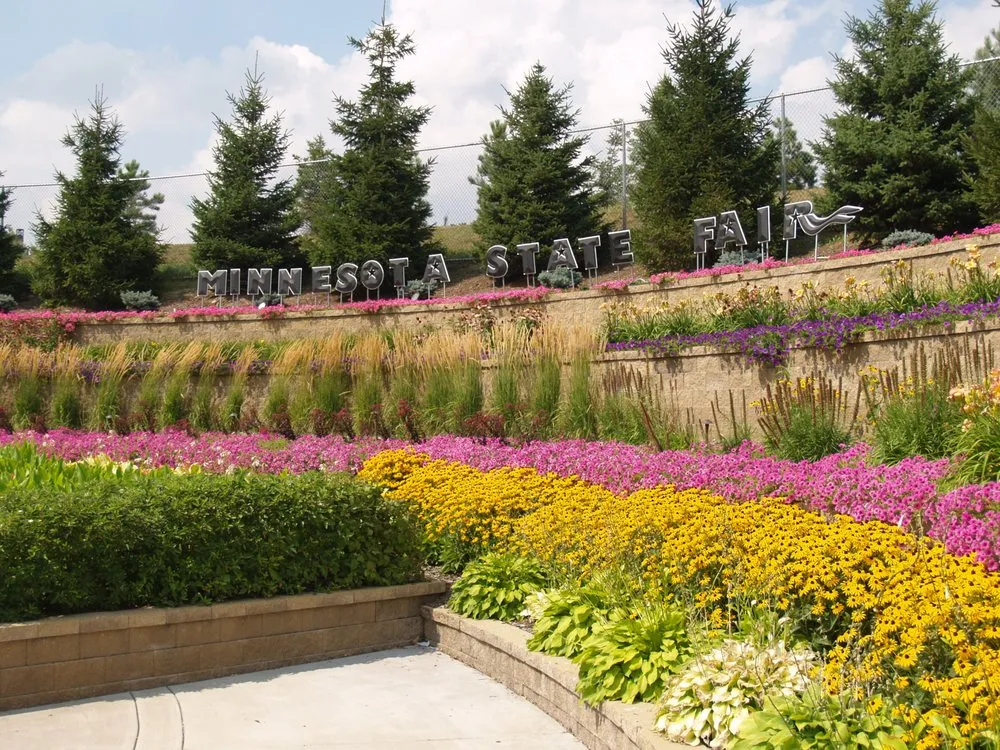 Custom yard cleanup service with custom design across Lindstrom, MN - Maltese Contracting