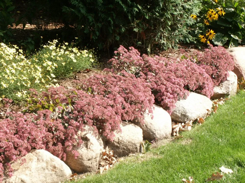 Affordable landscape design experts serving Lindstrom, MN - Maltese Contracting