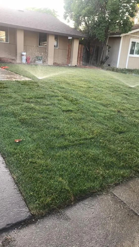 Reliable yard cleanup service for residential properties across Sacramento, CA - Maluria Concrete and Landscaping