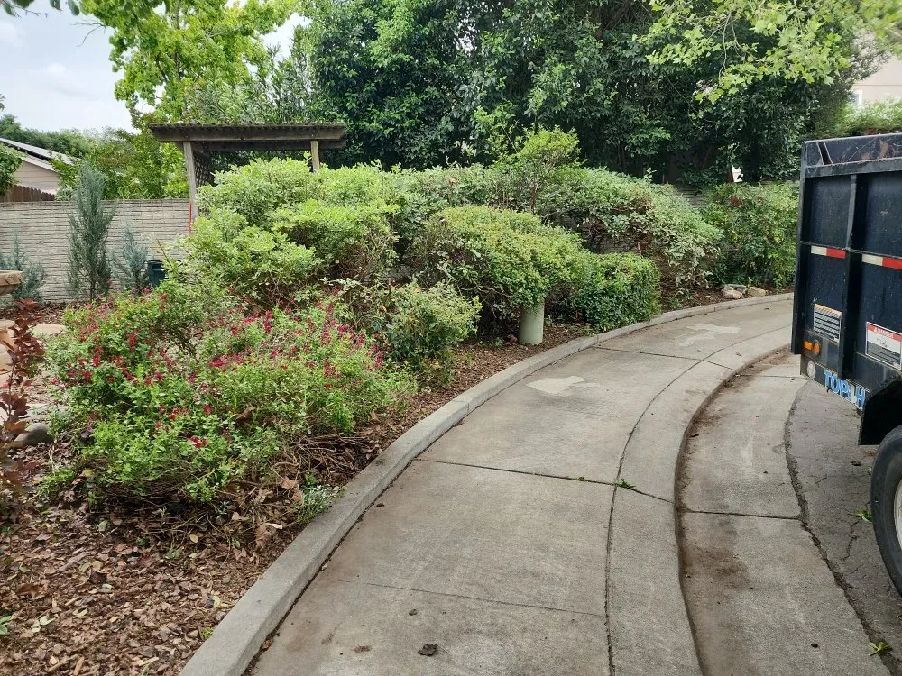 Top-rated outdoor landscaping in Sacramento, CA by Maluria Concrete and Landscaping