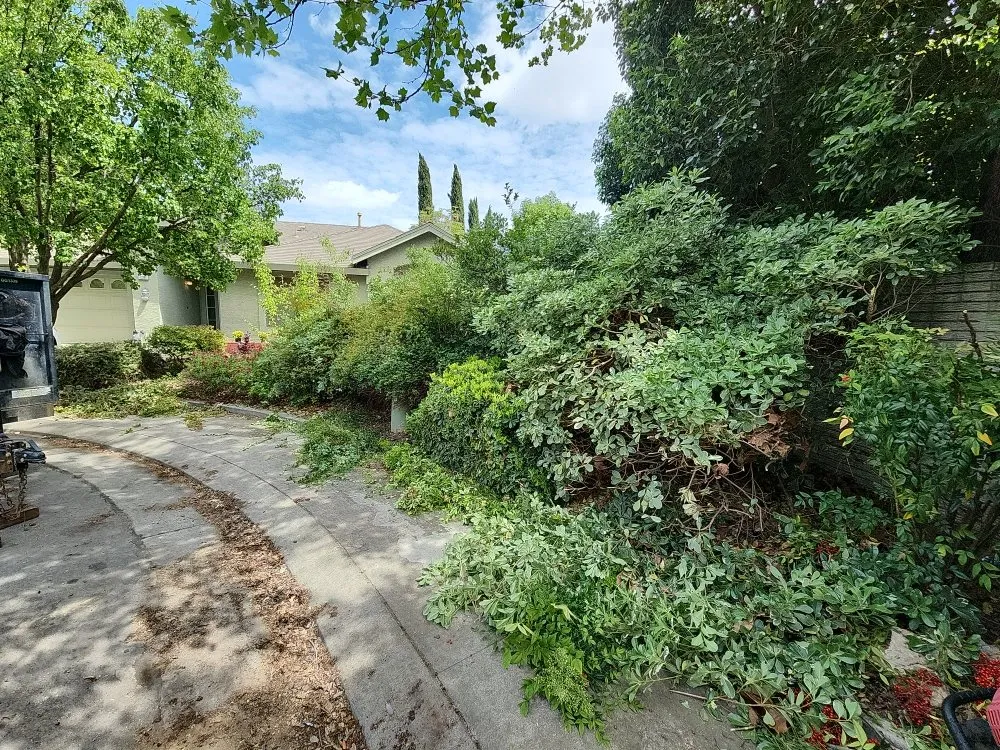 Expert outdoor landscaping for residential properties in Sacramento, CA by Maluria Concrete and Landscaping