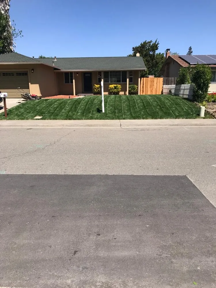 Expert residential landscaping near you across Sacramento, CA - Maluria Concrete and Landscaping