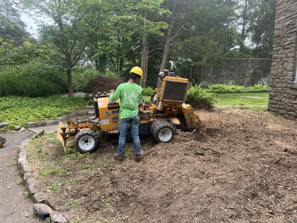 Reliable yard maintenance with custom design across Bedford Hills, NY - Malverde Tree Services