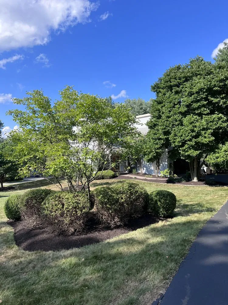 Local landscape design for beautiful yards in Malvern, PA by Malvern Lawn Care