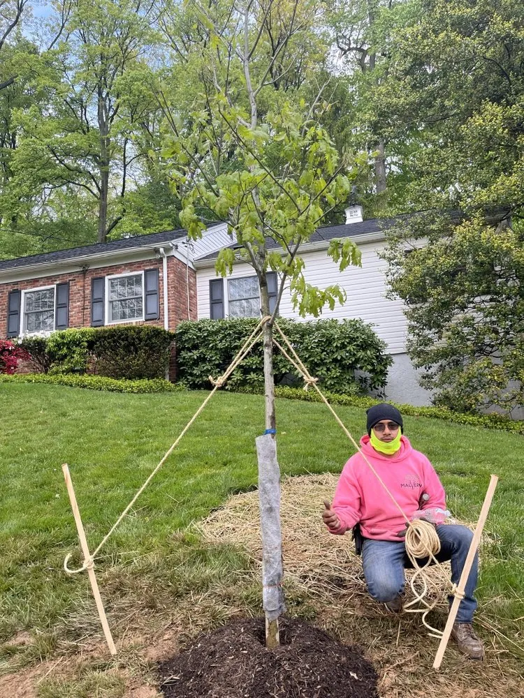 Professional landscape design with custom design across Malvern, PA - Malvern Lawn Care