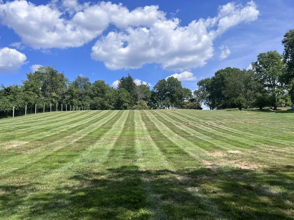 Trusted yard cleanup service near you in Malvern, PA by Malvern Lawn Care