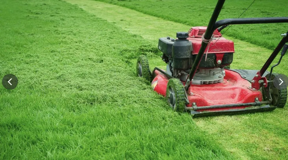 Reliable outdoor landscaping experts serving Denison, TX - Malvern's LawnCare