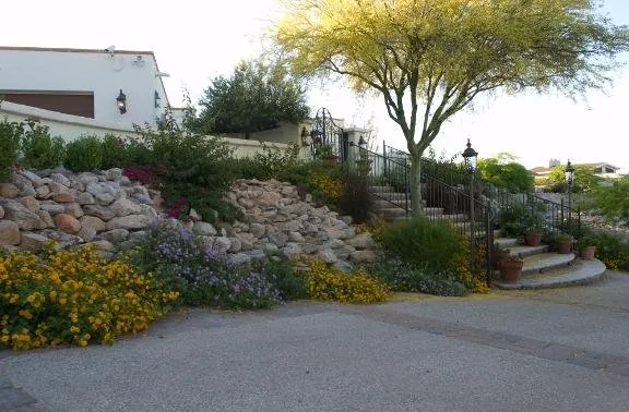 Trusted residential landscaping in Tucson, AZ by Maly & Associates